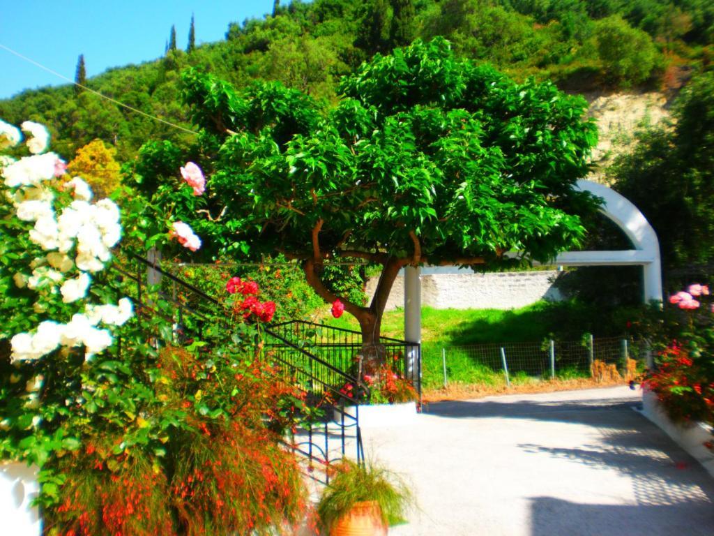 Oasis Hotel Parga Buitenkant foto